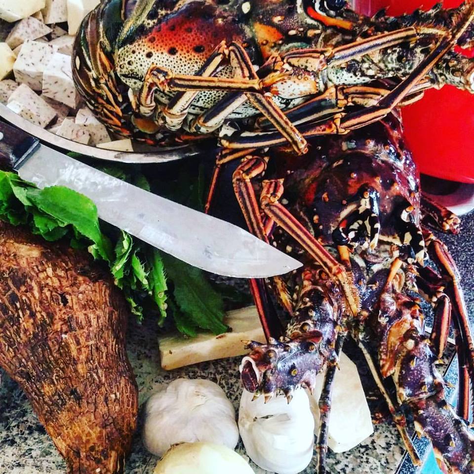 Cold Water Lobster off the Coast of Culebra, Puerto Rico